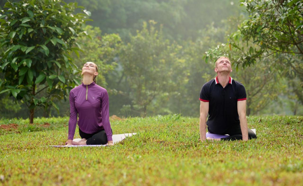Tigris Valley Holistic Wellness Resort Vallikavungal Kültér fotó